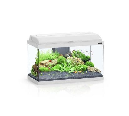 Picture of AQ.AQUADREAM 80X30X45 COR025 EQP LEDS