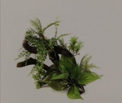 Picture of AD TRUNK W/PLANTS 33 cm