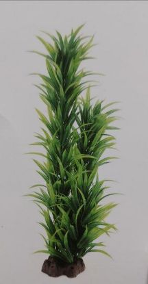 Picture of AD TALL PLANT 3