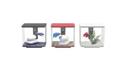 Picture of AQ. MY BETTA COL041 RED