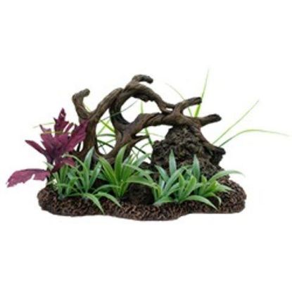 Picture of MA TW DRIFTW.W. ROCK ON BASE OF PLANTS L