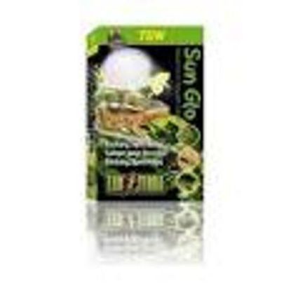Picture of DAY GLO BASKING SPOT LAMP 75W-V