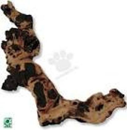 Picture of JBL Mopani Wurzel "L"