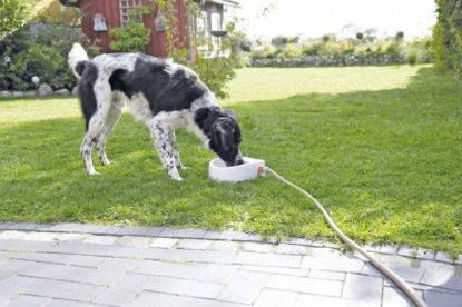 Picture of Automatic Outdoor Water Trough 1.5l 24x10x23cm WHITE