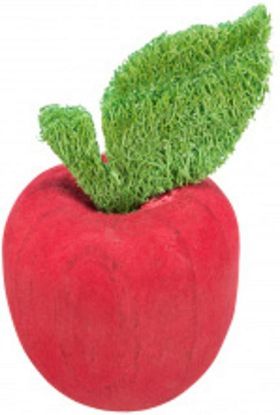 Picture of Apple, wood/loofah, ø 5.5 × 9 cm