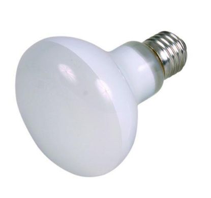 Picture of Basking spot-lamp, ø 80 × 108 mm, 100 W