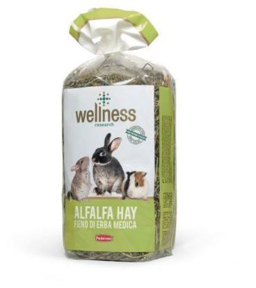 Εικόνα της ALFALFA HAY500G