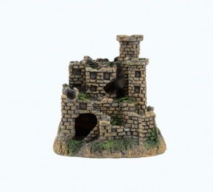 Picture of AD CASTELO 4