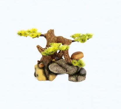 Picture of AD BONSAI COM PEDRAS