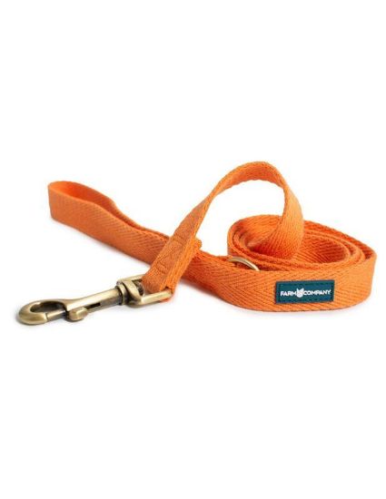 Picture of FC GREEN SOYBEAN LEASH PUMPKIN S/M 2x120cm