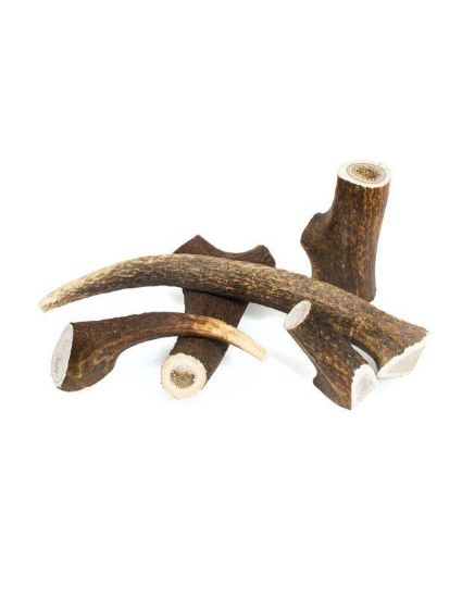 Εικόνα της Natural deer horn Size L (76-150gr)