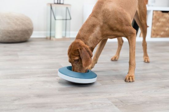 Picture of Rocking Bowl Slow Feeding, plastic/TPR, 0.5 l/ø 23 cm, grey/blue