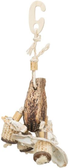 Picture of Natural toy, mahogany pod/sea shells, 26 cm