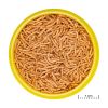 Picture of JBL PRONOVO RED INSECT STICK S 100ml
