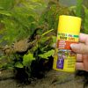 Picture of JBL PRONOVO LOTL GRANO S 100ml CLICK