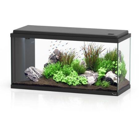 Picture for category AQUARIOUMS