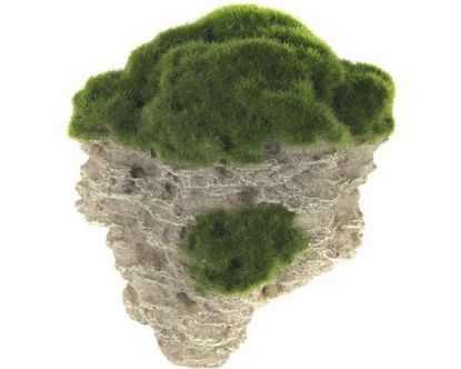 Picture of AD ROCK MOSS 17.5 cm