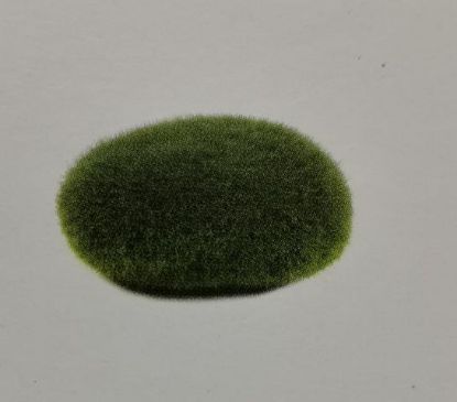 Picture of AD STONE MOSS S
