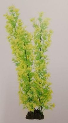 Picture of AD HIGH PLANT GREEN/YELLOW
