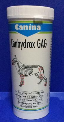 Picture of CANHYDROX GAG 120TABS / 200GR