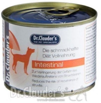 Picture of DC DOG DIET IRD INTESTINAL 400 g