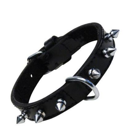 Picture of LEATHER COLLAR 1 LINE OF SPIKES 40cm x 19mm