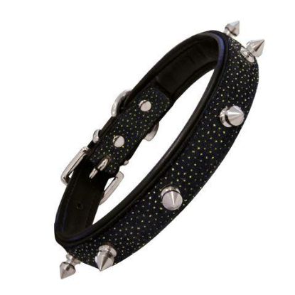 Picture of COLLAR PIEL CON PINCHOS BRILLANTE DORATO 50cm x 25mm