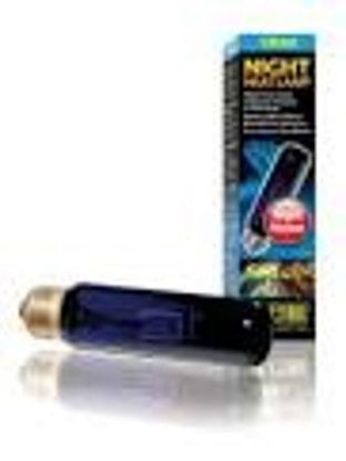 Picture of EXO TERRA NIGHT GLO BULB 15W-V