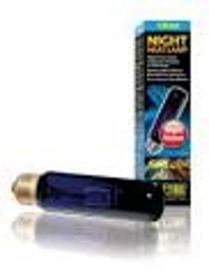 Εικόνα της EXO TERRA NIGHT GLO BULB 15W-V