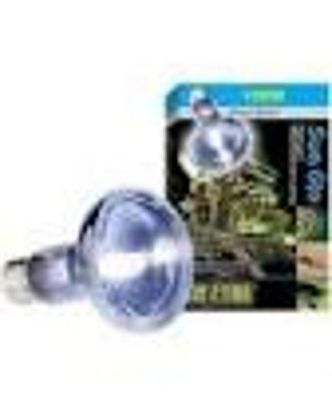 Picture of EXT SUNGLO DAYLITE HALOGEN LP.100W-V
