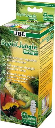 Picture of JBL ReptilJungle Daylight +
