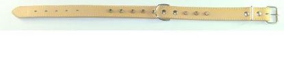 Picture of COLLAR LEATHER LINED W. STADS 50CMX25MM