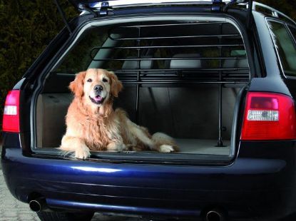 Picture of Car dog guard, black