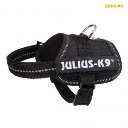 Picture of Julius-K9® Powerharness, S/Mini: 51–67 cm/28 mm, black