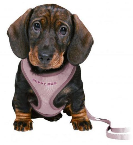 Εικόνα της Junior puppy soft harness with leash, 26–34 cm/10 mm, 2.00 m, light lilac