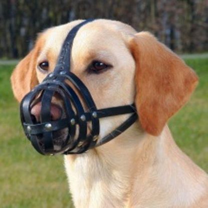 Picture of Julius-K9 Muzzle, cowhide, XL, black