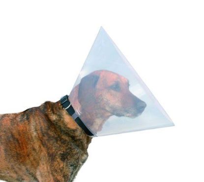Picture of Protective collar, L–XL: 47–57 cm/30 cm