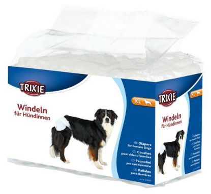 Picture of Diapers for dogs, XL, 12 pcs