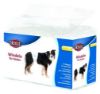 Εικόνα της Diapers for male dogs, M–L, 12 pcs
