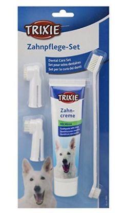 Picture of Dental hygiene set, dog