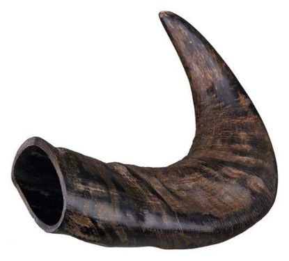 Picture of Genuine buffalo chewing horn, medium
