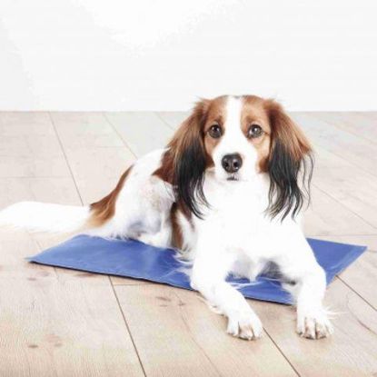 Picture of Cooling mat, S: 40 × 30 cm, blue