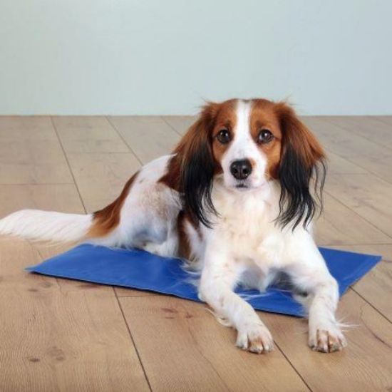 Εικόνα της Cooling mat, M: 50 × 40 cm, blue