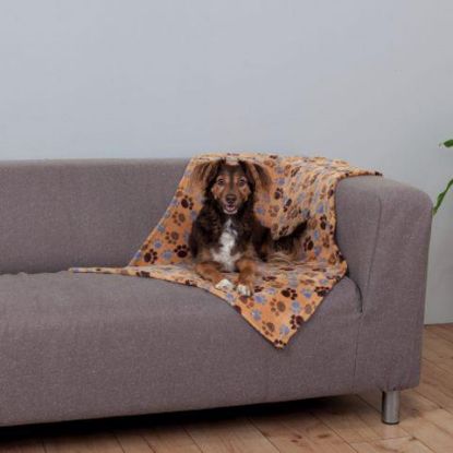 Picture of Laslo fleece blanket, 100 × 70 cm, beige