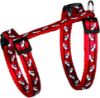 Εικόνα της Cat harness with leash, cat motif, 27–45 cm/10 mm, 1.20 m
