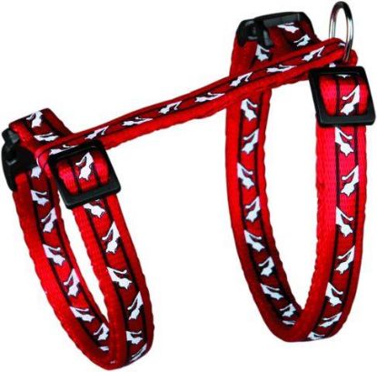 Picture of Cat harness with leash, cat motif, 27–45 cm/10 mm, 1.20 m