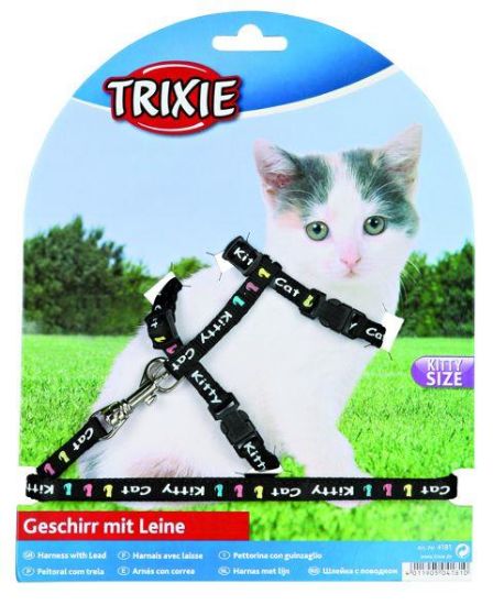 Εικόνα της Kitten harness with lead, nylon, 21–33 cm/8 mm, 1.20 m
