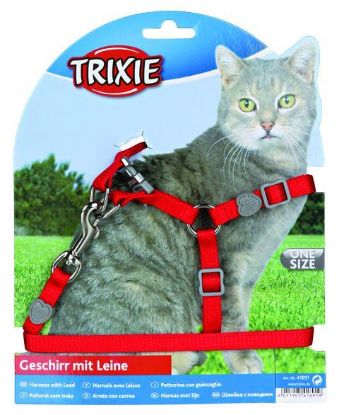 Picture of Cat harness with lead, nylon, 26–37 cm/10 mm, 1.20 m