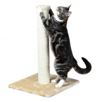 Picture of Parla scratching post, 62 cm, beige