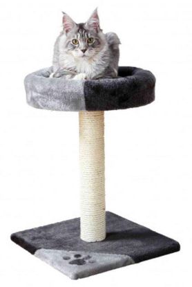 Picture of Tarifa scratching post, 52 cm, grey/black